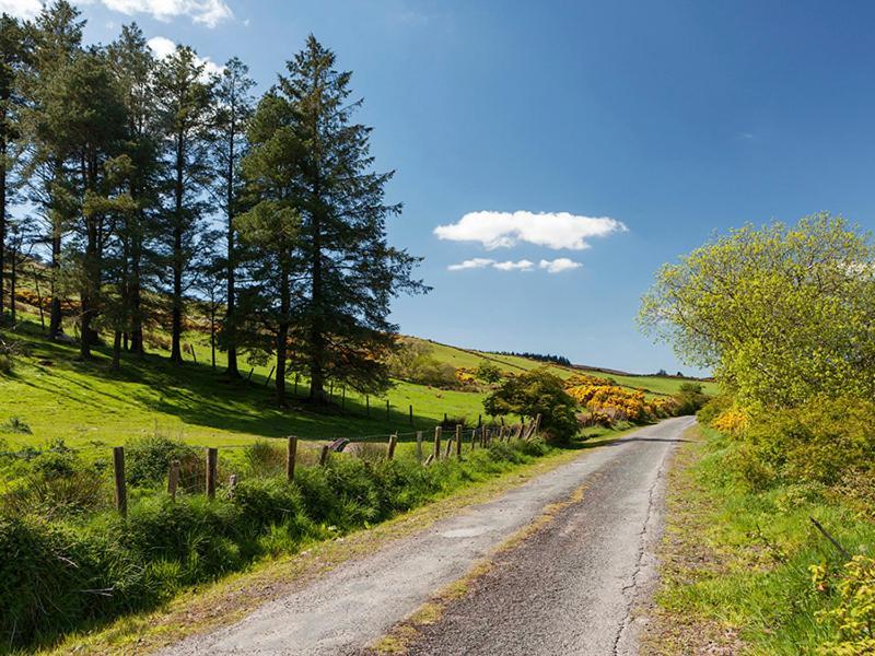 BallynamultCurradoon House别墅 外观 照片